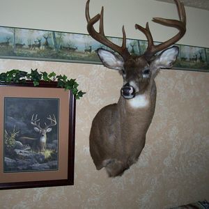 Meet your Posher, Gary